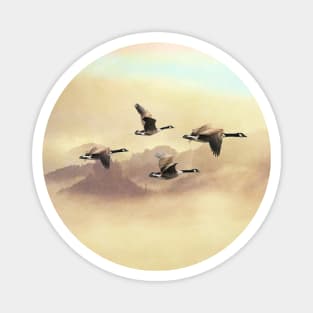 Canada Geese Migration Magnet